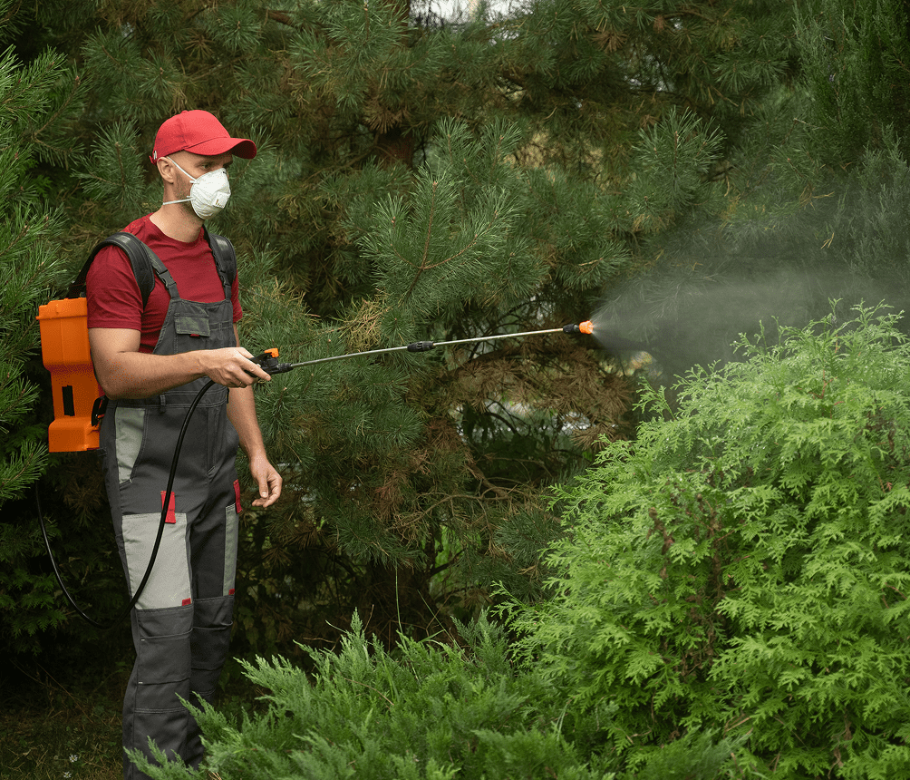 Man in protective gear spraying bushes