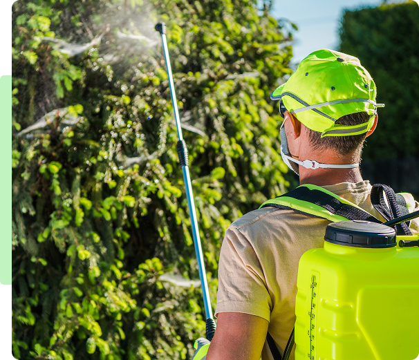 Worker using sprayer on plants