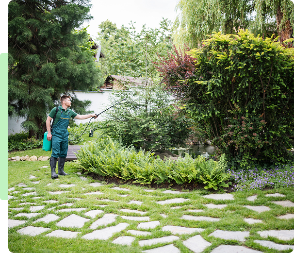 Man tending to garden with spray bottle.